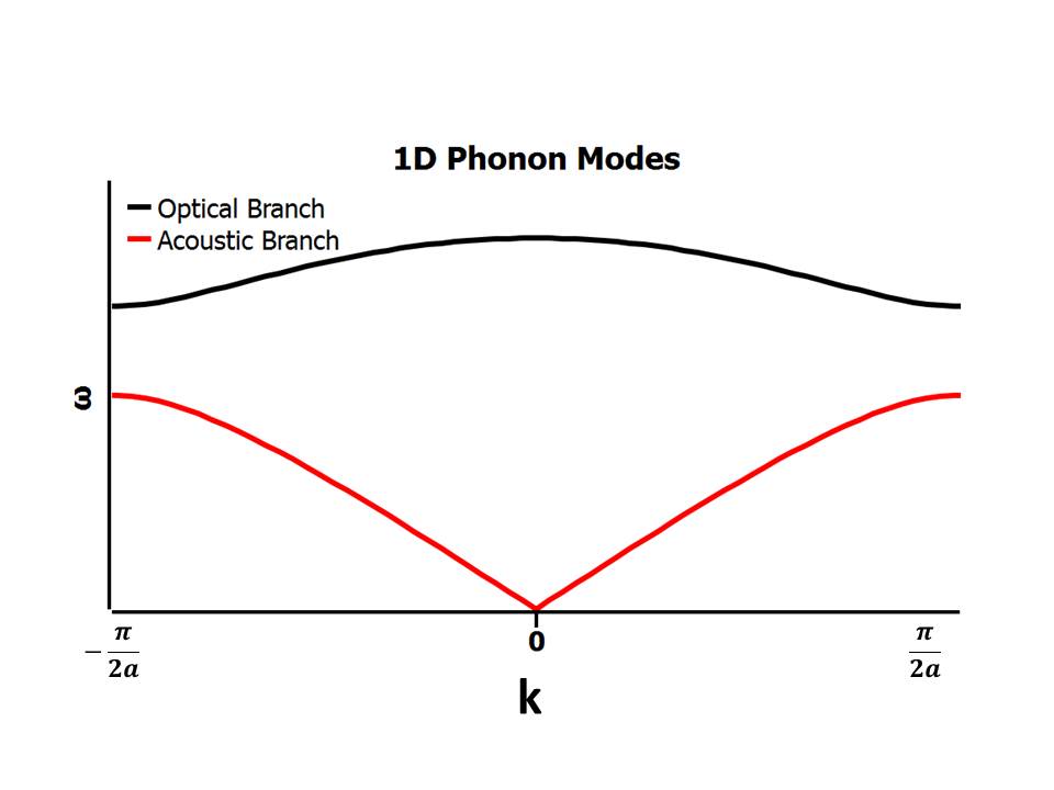 1Dphonon